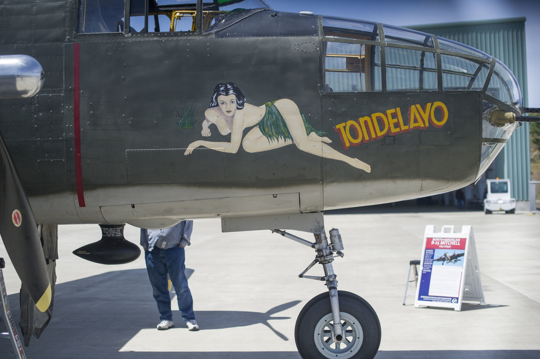 Wings of Freedom